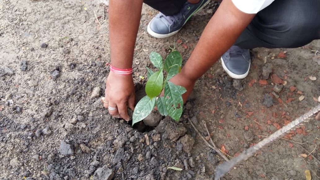 CELEBRATION OF FORESTRY WEEK BY THE STUDENTS OF DMA